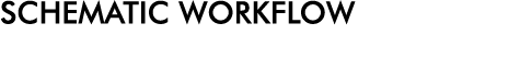 SCHEMATIC WORKFLOW