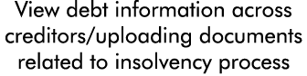 View debt information across creditors uploading documents related to insolvency process