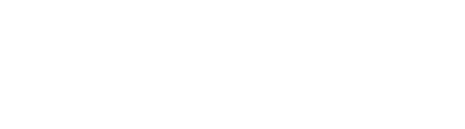 THE GENESIS
