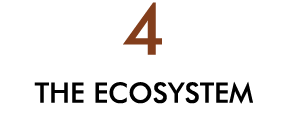 4 THE ECOSYSTEM
